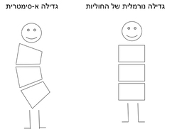 איך-זה-קורה-2